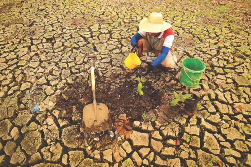 Biodiversity Crisis Solutions 2026