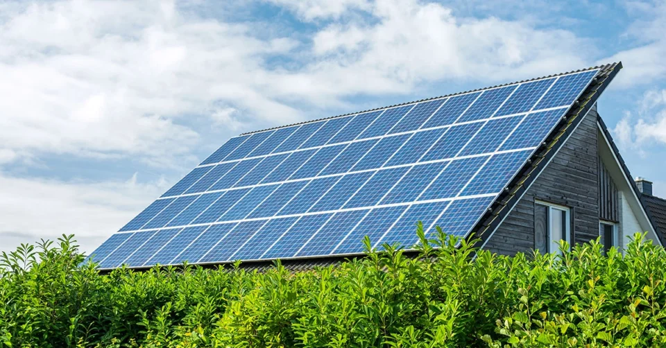 Climate Change Adaptation Strategies for Homeowners