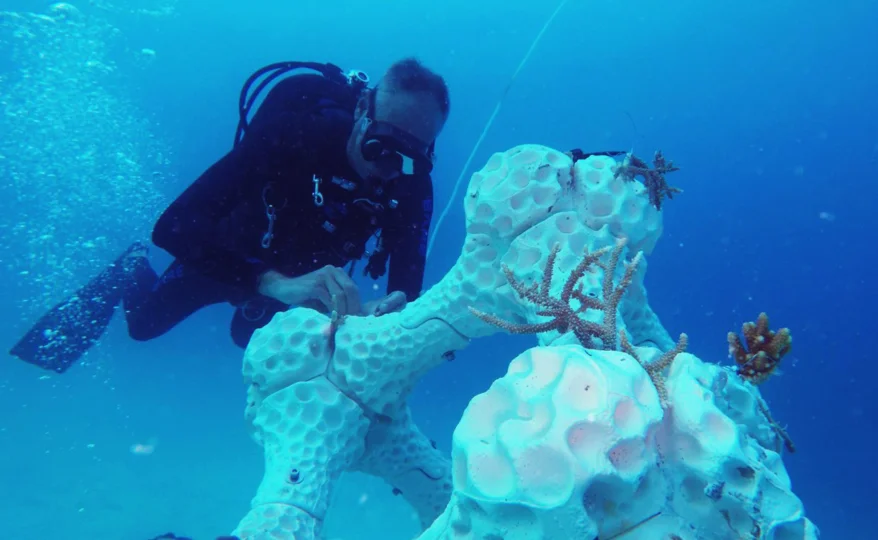 Coral Reef Restoration Using 3D Printing