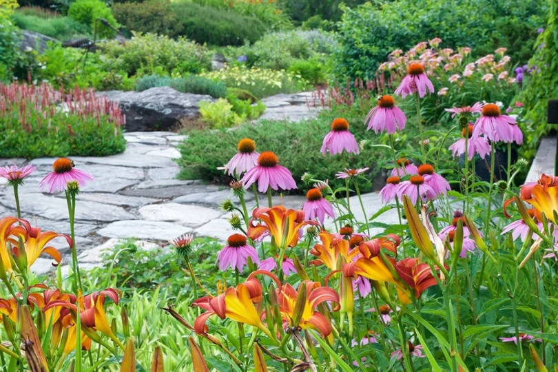 How to Create a Pollinator-Friendly Backyard