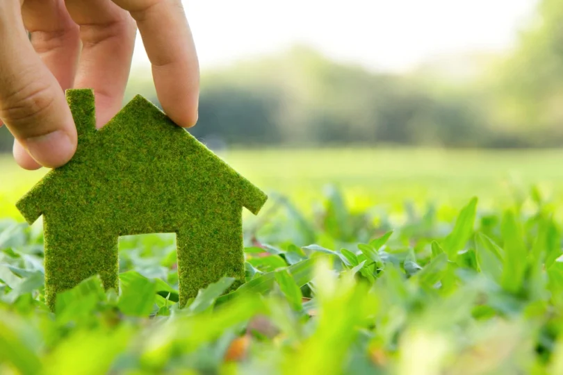 How to Go Green at Home Without Spending Money