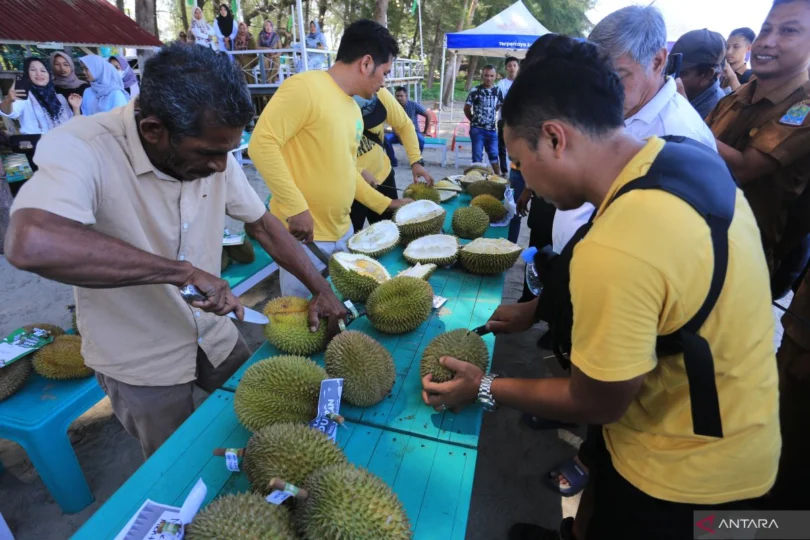 Ekspor Durian, Manggis, Salak ke China Raih Rp5,94 Triliun