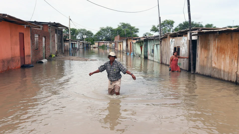 El Nino 2026 Ubah Dataran Tinggi Peru Jadi Kebun Bunga Spektakuler