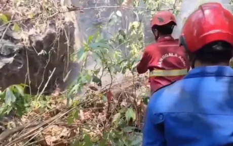 Karhutla di Bantimurung-Bulusaraung Mengancam Habitat Tarsius