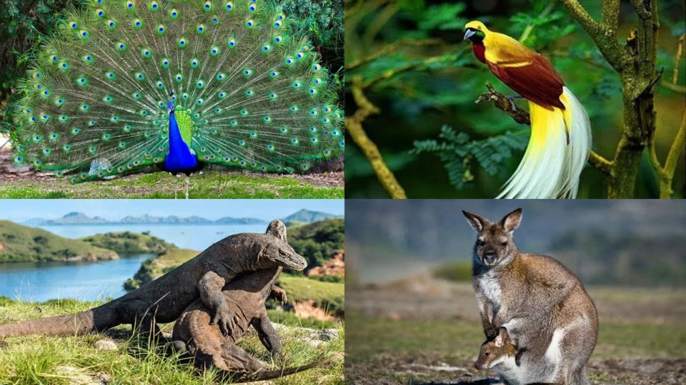 Jatim Petakan 3.849 Takson Flora dan Fauna, Perkuat Konservasi