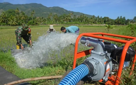 Petani Jaga Ketersediaan Air Stabil lewat Pompanisasi di Persawahan